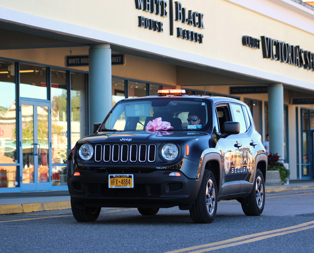 Titan Security shows its support with a pink ribbon.