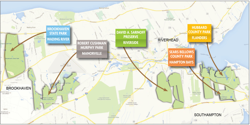 Southern pine beetles have been confirmed in the above locations so far, officials say. (Eric Hod illustration)