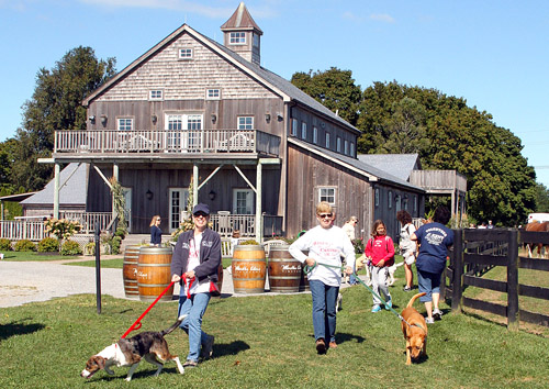 Martha Clara Vineyards, Kent Animal Shelter, Long Island Wine Country