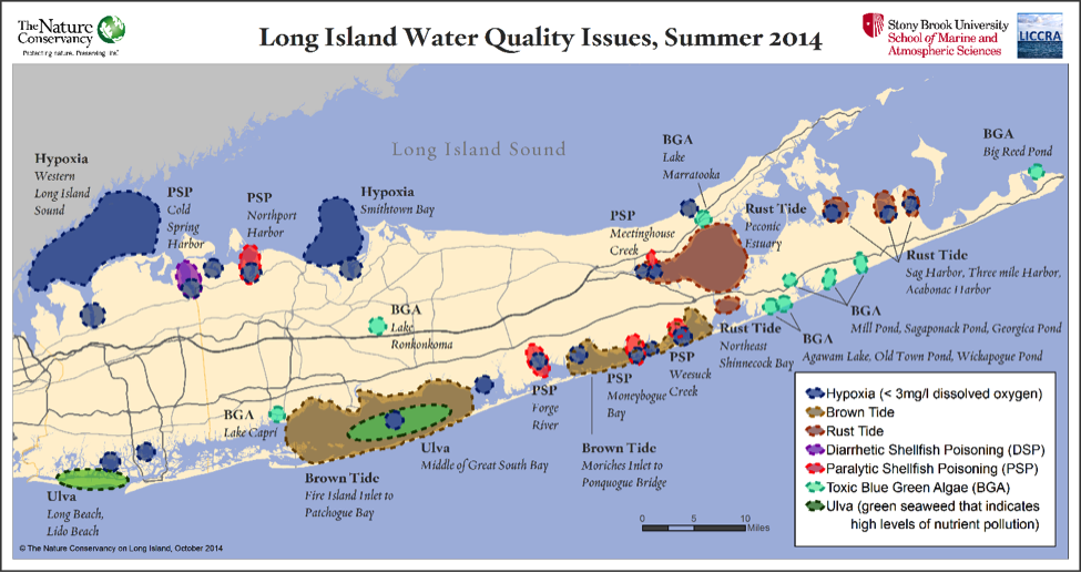 (Credit: Courtesy SBU SoMAS)