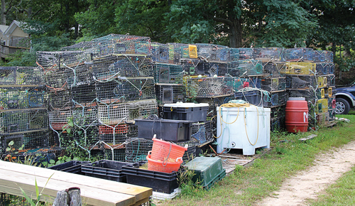 (Carrie Miller photo)