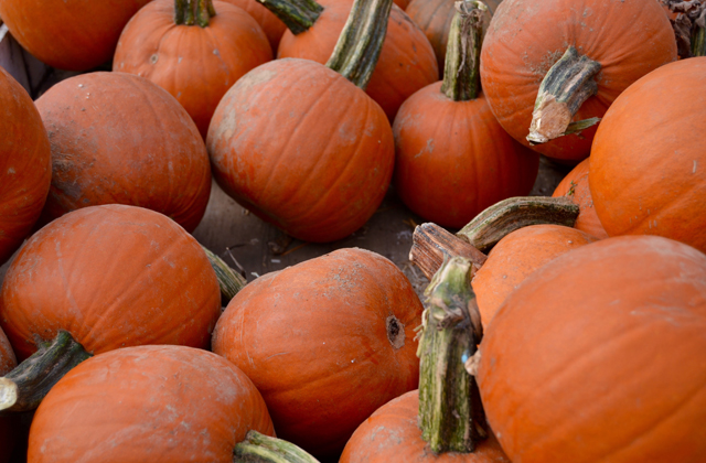 Pumpkins