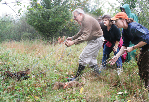 Beagle Club, Calverton