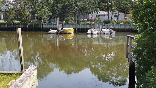 Rust tide. (Credit: Carrie Miller)