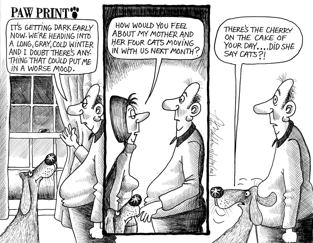 PETER WALDNER CARTOON