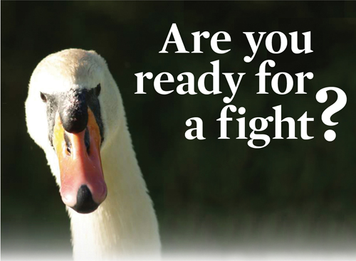 (Credit: Hunter Desportes/CreativeCommons.org)