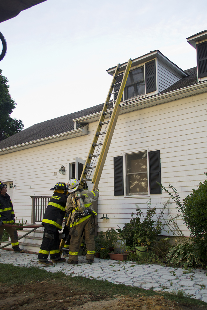 (Credit: Paul Squire)