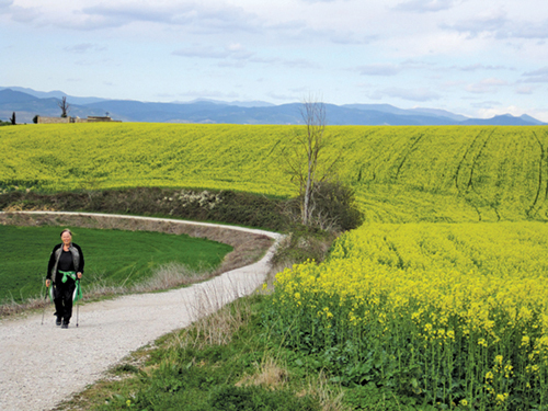 Harriet O’Halloran on the Camino de Santiago in a photo taken by her travelling companion, P.A.T. Hunt. (Credit: P.A.T. Hunt Photo)