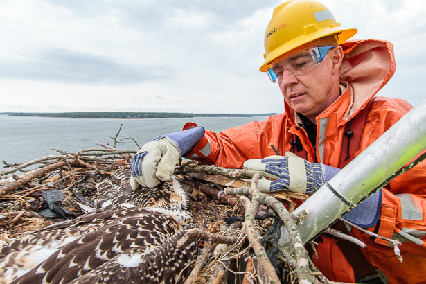 20146356626_356b6ab9ab_o