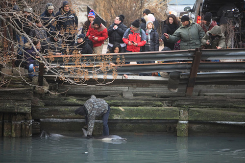 26dolphintouch-nyregion-articleLarge