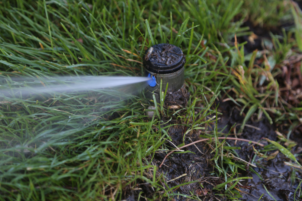 sprinkler