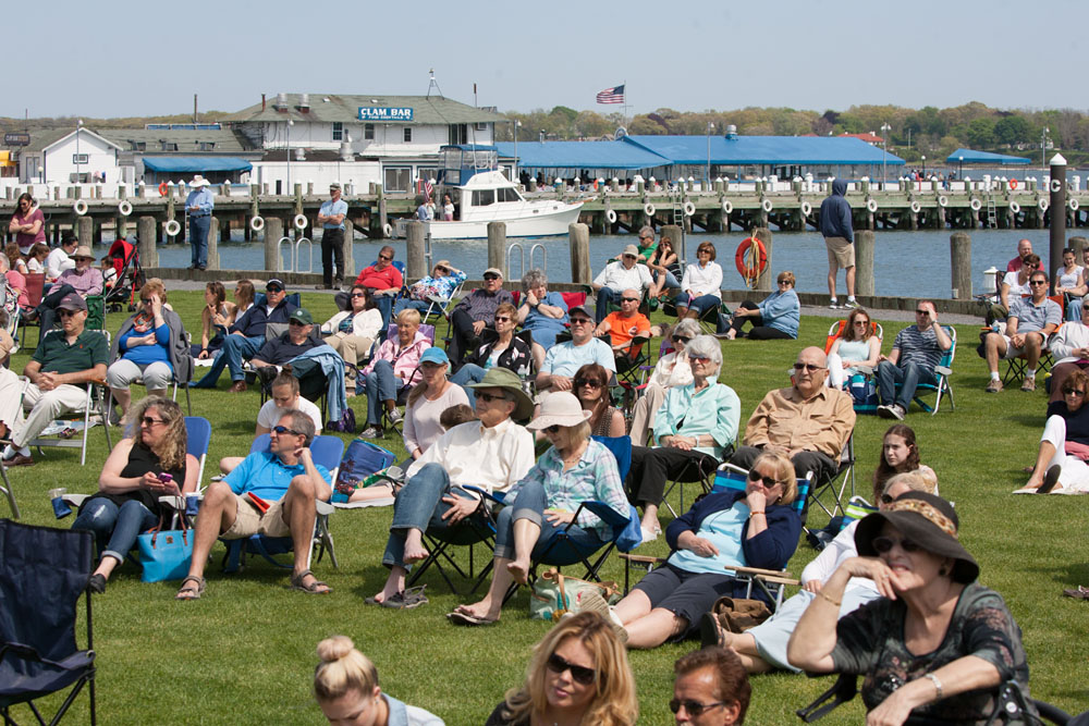 The crowd in Mitchell Park. (Credit: Katharine Schroeder)