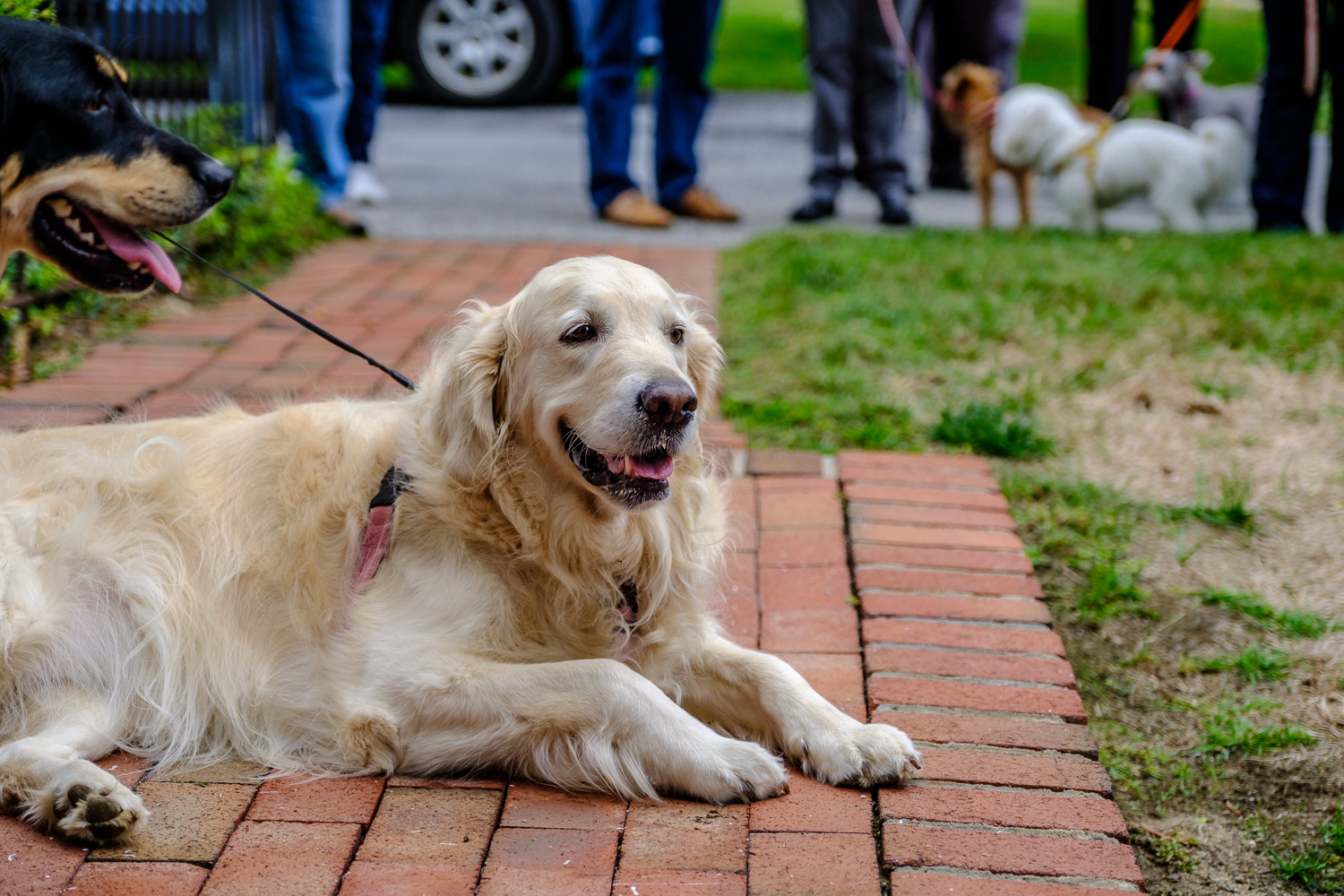 (Credit: Jeremy Garretson)