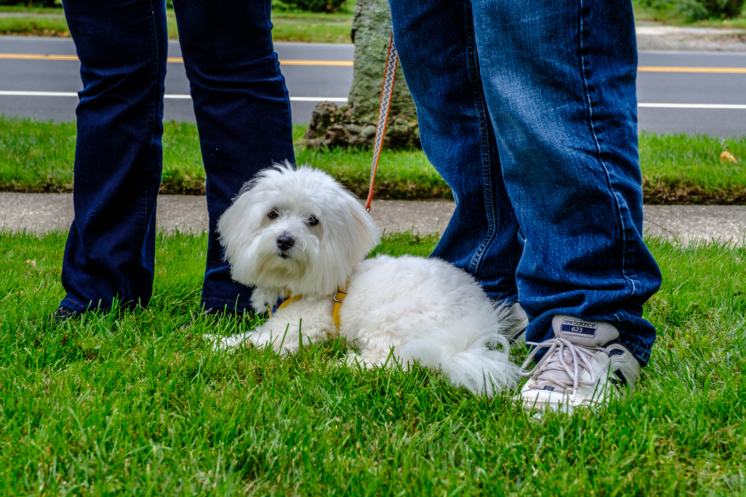 (Credit: Jeremy Garretson)