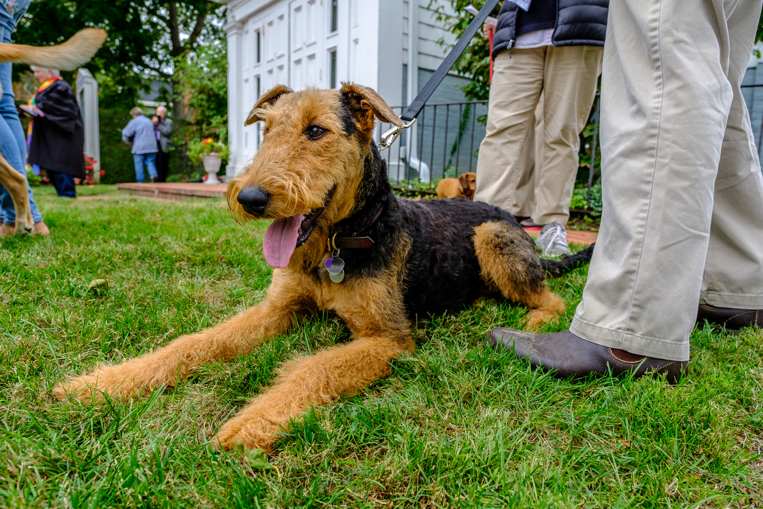 Scout (Credit: Jeremy Garretson)