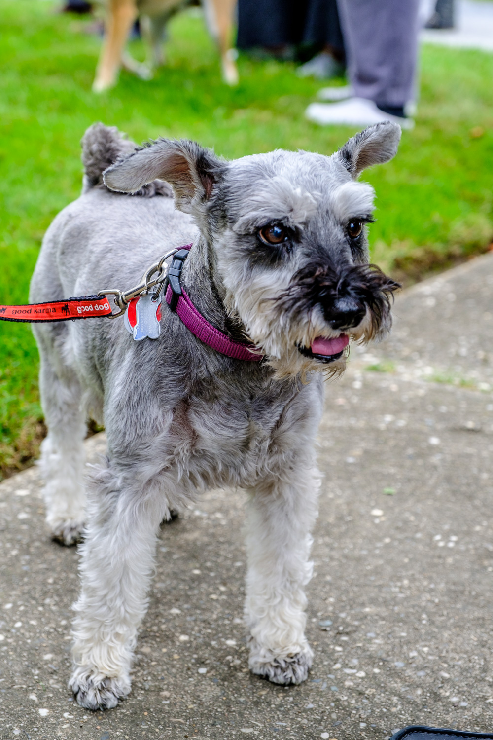 Torhi (Credit: Jeremy Garretson)