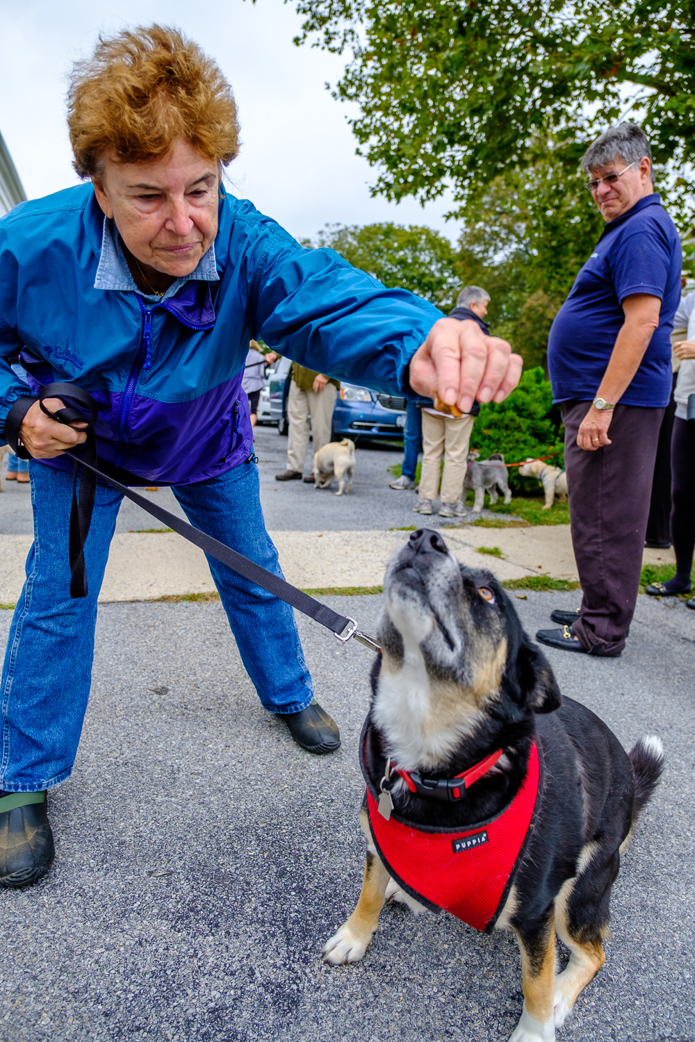 Chaeryl Tortoriello of Orient with her dog, Kodiak. (Credit: Jeremy Garretson)