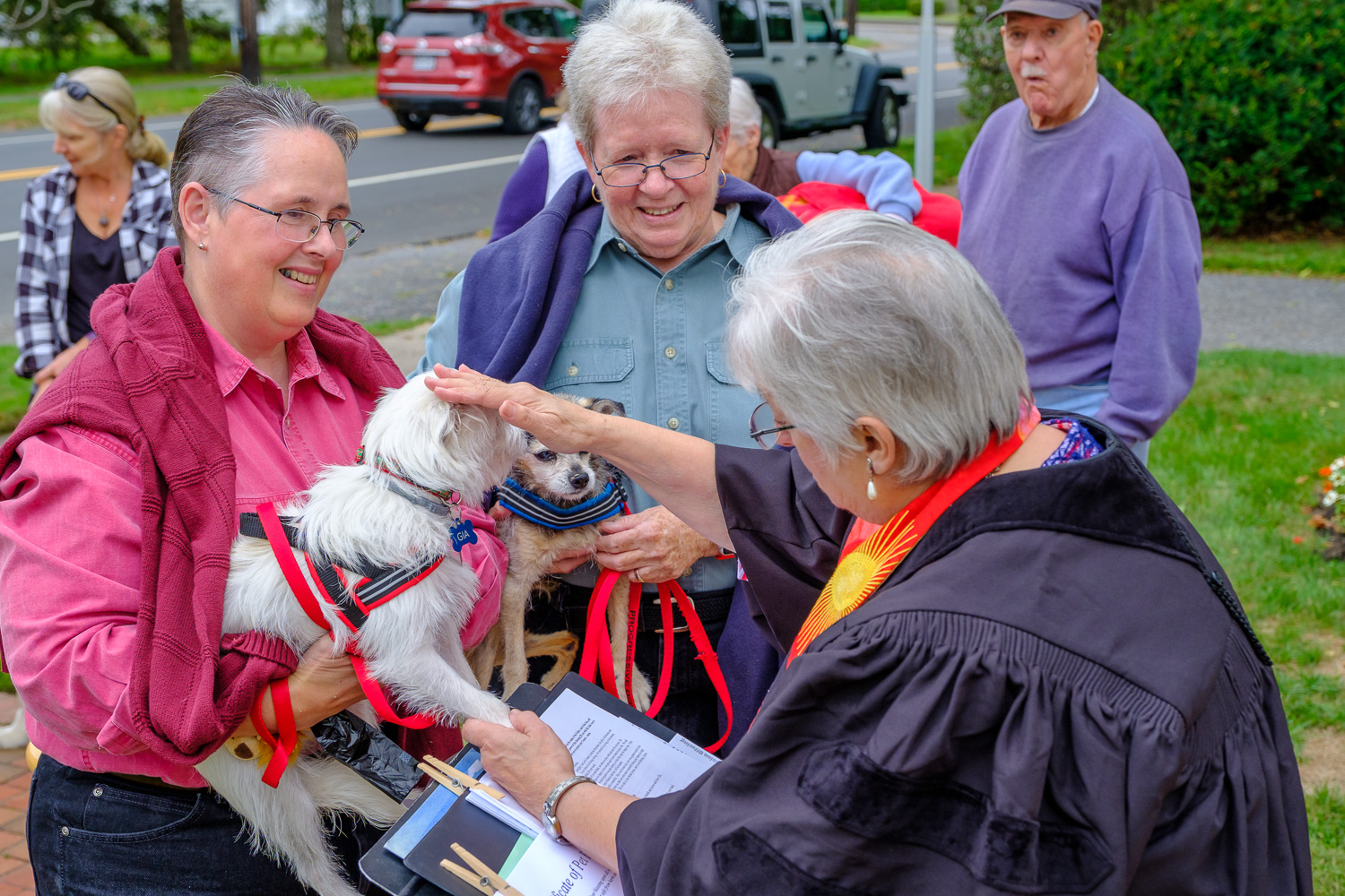 Taco, the Chihuahua, and Gia, a rescued Terrier, with owners Diane Johnson and Carolyn Peabody of Orient. (Credit: Jeremy Garretson)