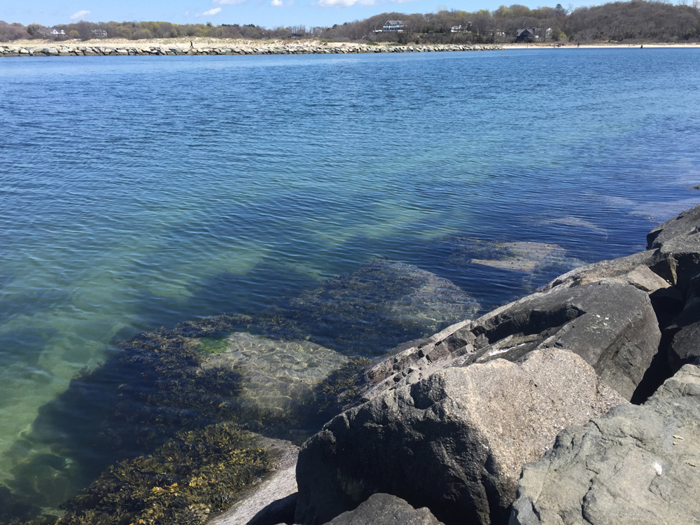 Breakwater Beach