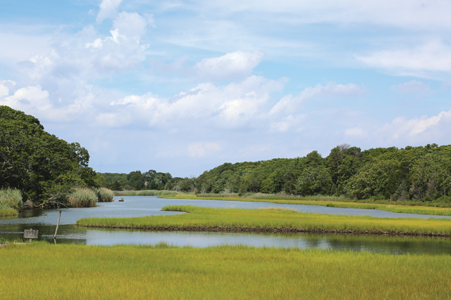 Brushes Creek in Laurel
