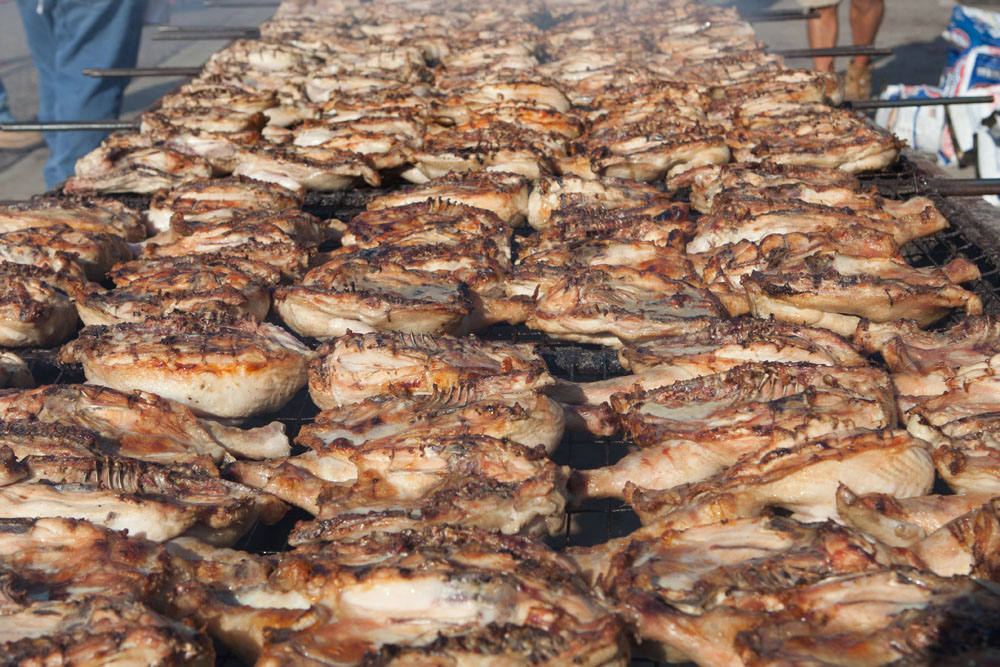 The star of the show. (Credit: Katharine Schroeder)