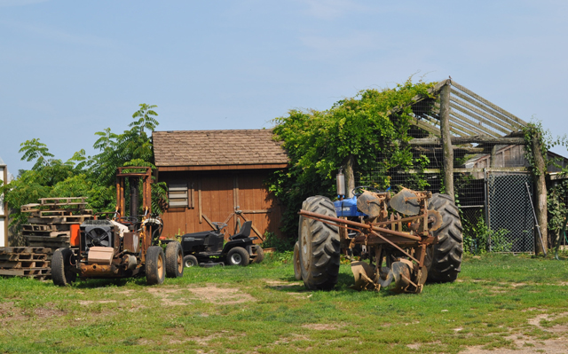 Douglas Cooper Farms on Breakwater Road in Mattituck. (Credit: Grant Parpan)