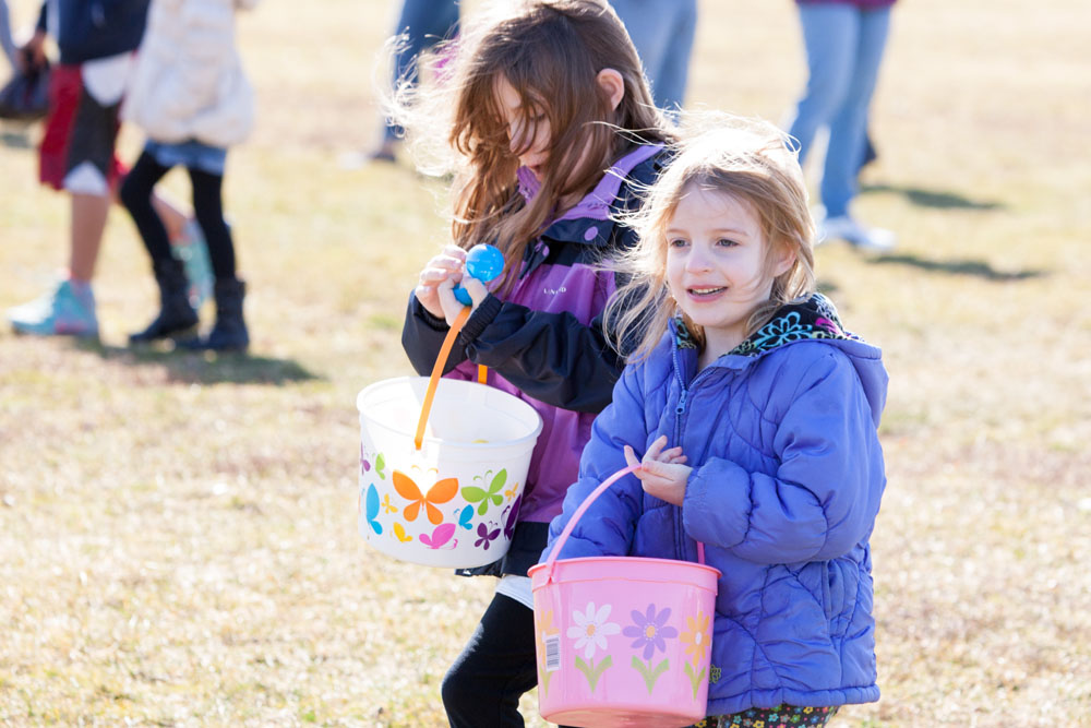 Egg_hunt_SHD_ss_16