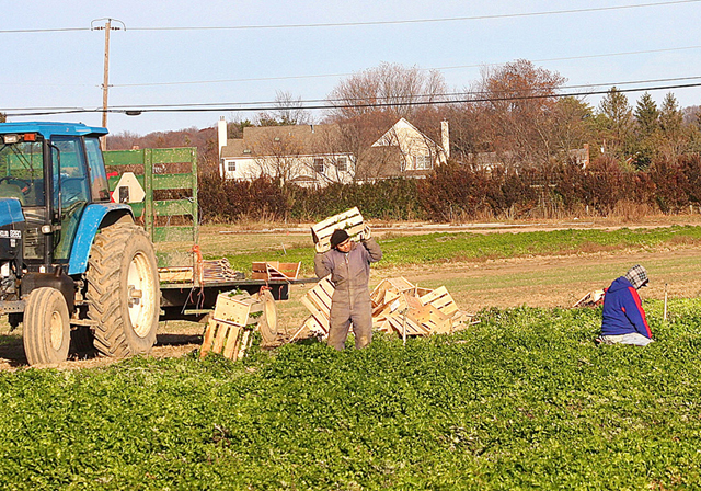 Farm-Workers