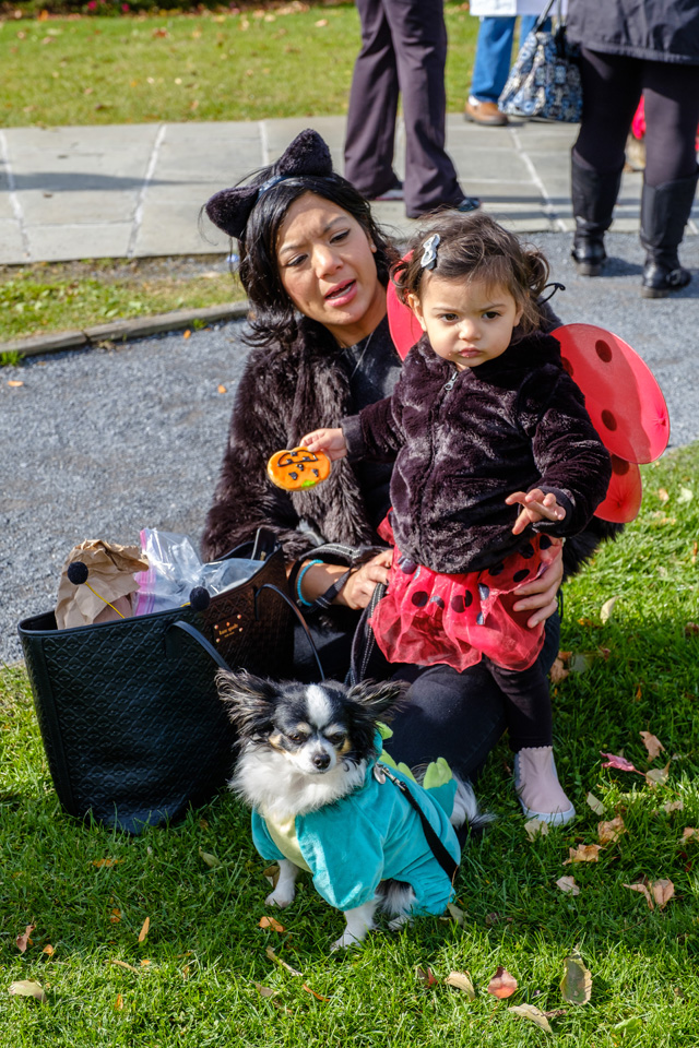Halloween Parade in Greenport 