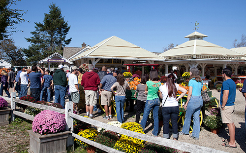 KATHARINE SCHROEDER FILE PHOTO | A line of people at Harbes Family Farm during pumpkin picking season last fall.