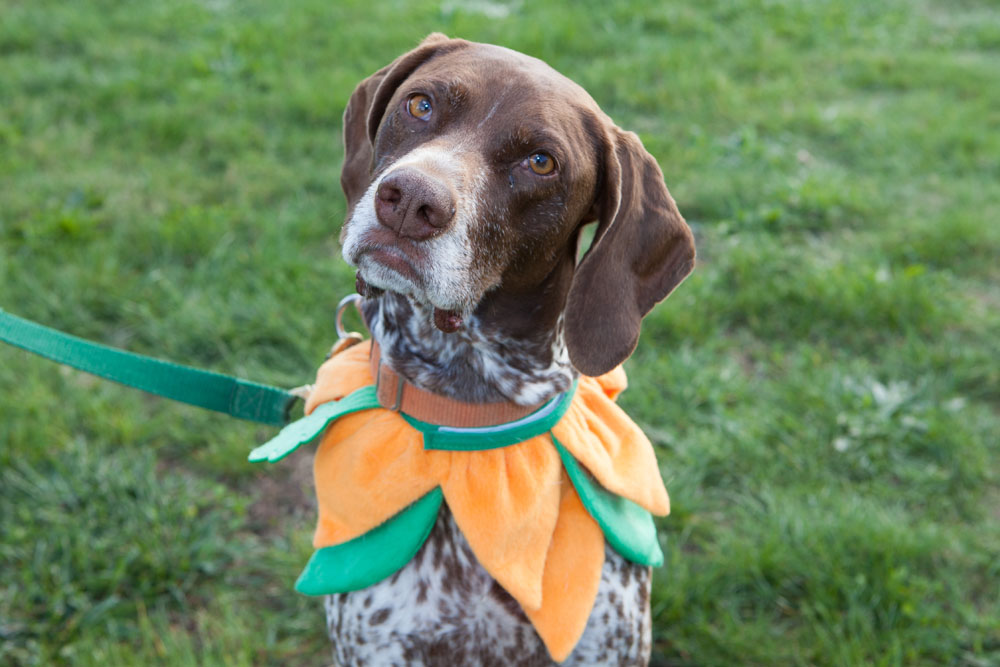 Jenny, age 6. (All photos by Katharine Schroeder)
