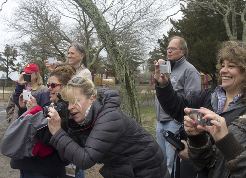 (Credit: Paul Squire)