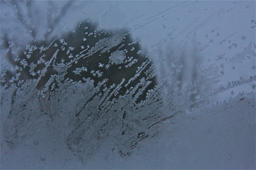 BARBARAELLEN KOCH PHOTO