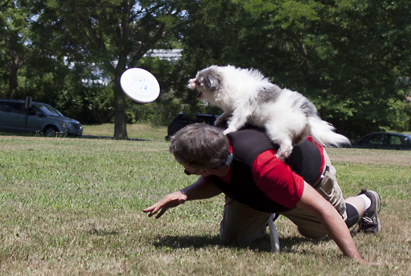 (Credit: Chris Lisinski)