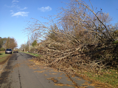 King Street in Orient