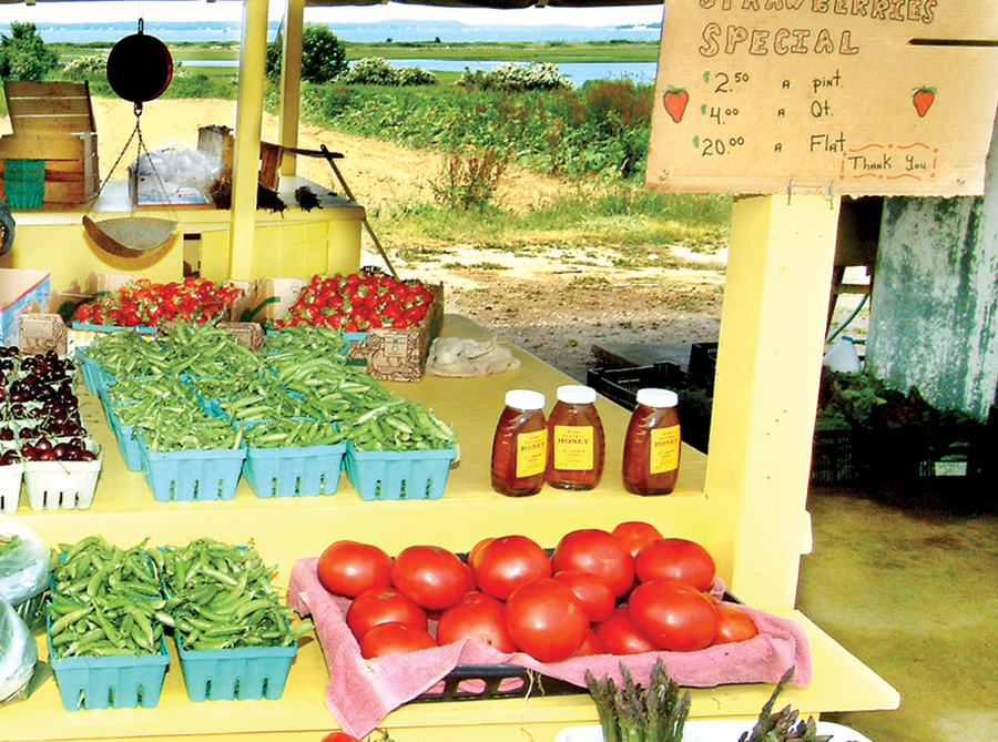 The landmark Latham Farm Stand and its views of the bay. (Credit: Suffolk Times, file)