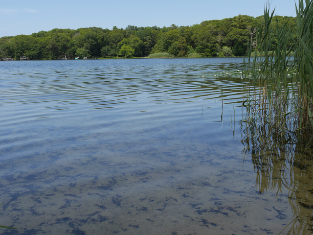 Clear waters at Laurel Lake on Tuesday. (Credit: Krysten Massa)