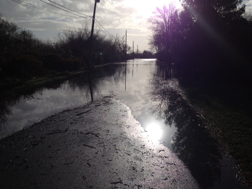 Orchard Street in Orient