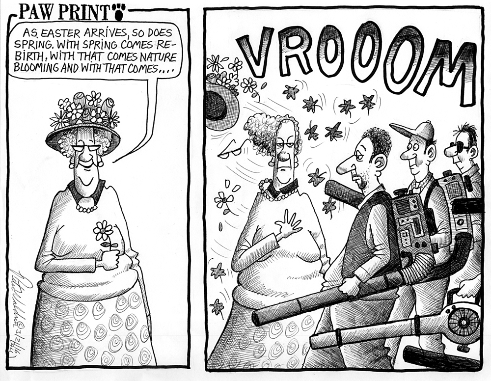 PETER WALDNER CARTOON