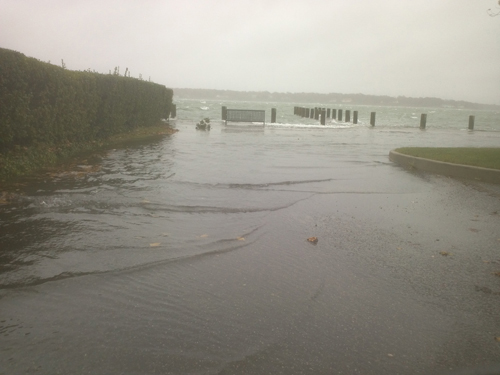 Stirling Cove Greenport south side Greenport