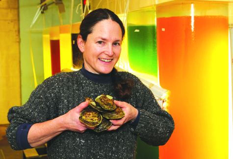 T012011_oysters_KS_C.jpg