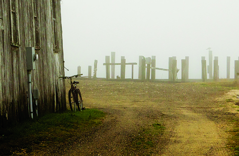 Foggy bicycle