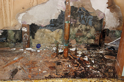 Mold found under a kitchen sink in the rectory. (Courtesy photo)