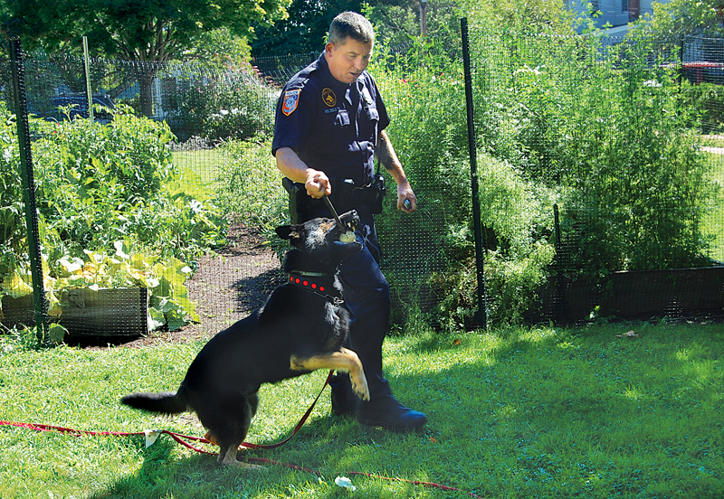 T0813_K9_ns_C.jpg
