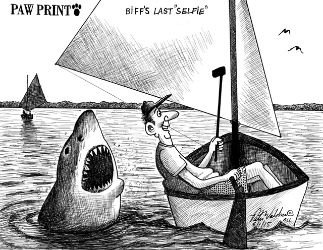 PETER WALDNER CARTOON