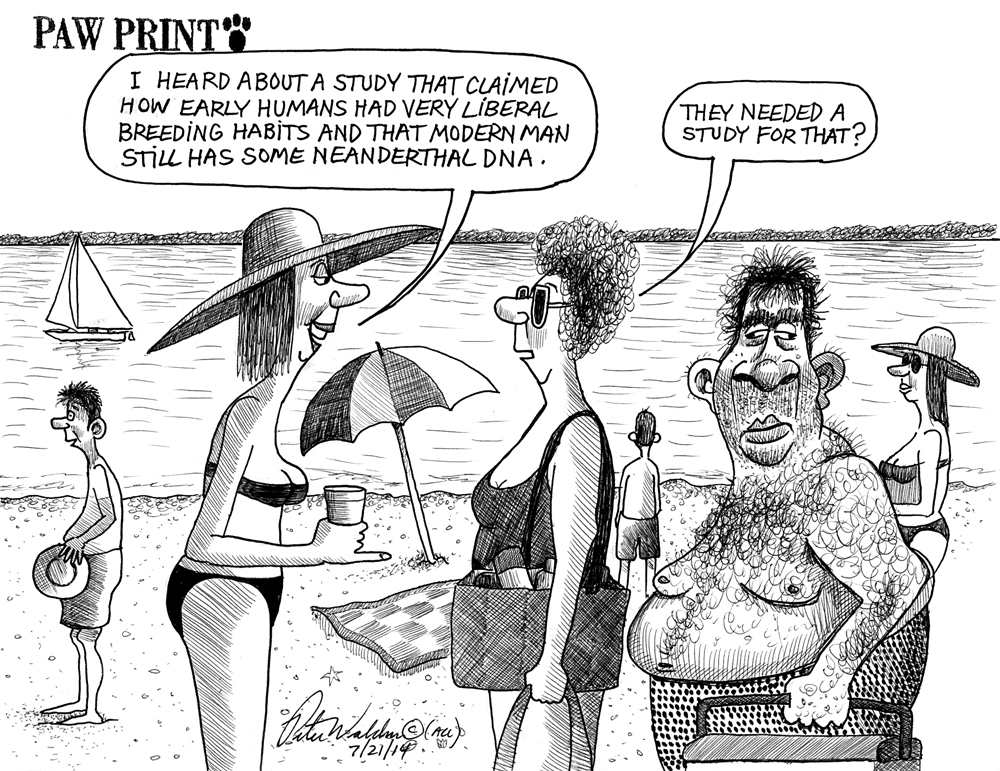 PETER WALDNER CARTOON