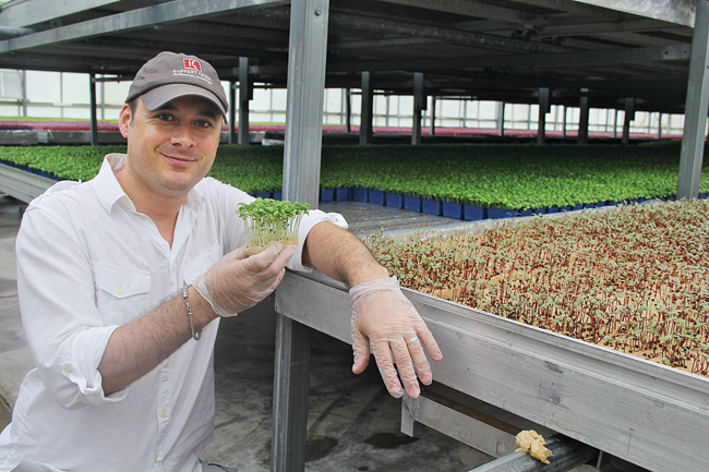 Nicholas Mazard, director of sales and marketing for Koppert Cress USA, explained that natural fiber is used instead of soil to grow  microgreens, enabling the live plant products to arrive at restaurants without bringing 'dirt into their kitchens.' (Credit: Carrie Miller)