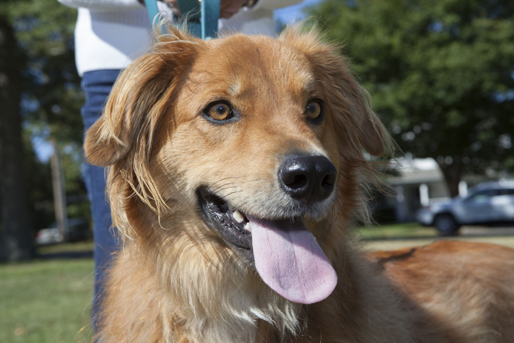 Cody, age 1, of Laurel.