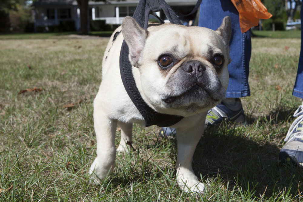 Eight-year-old Marshall of Quogue.