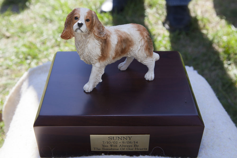 A tribute to Sunny, who passed away last month.